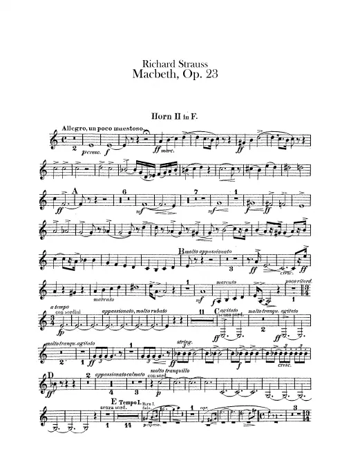 Horn 2 (F)