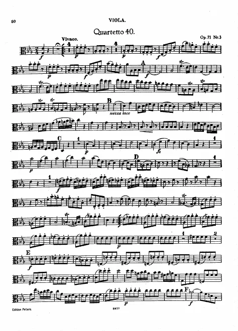 Viola