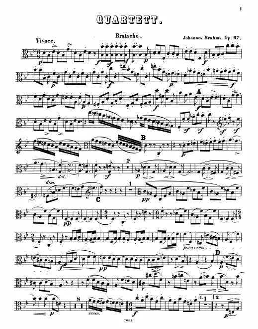 Viola