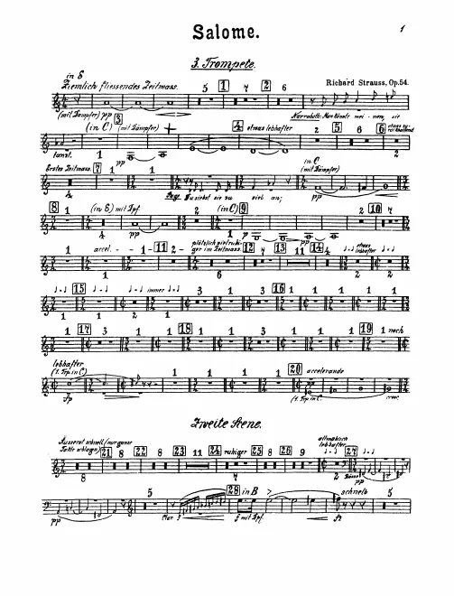 Trumpet 3