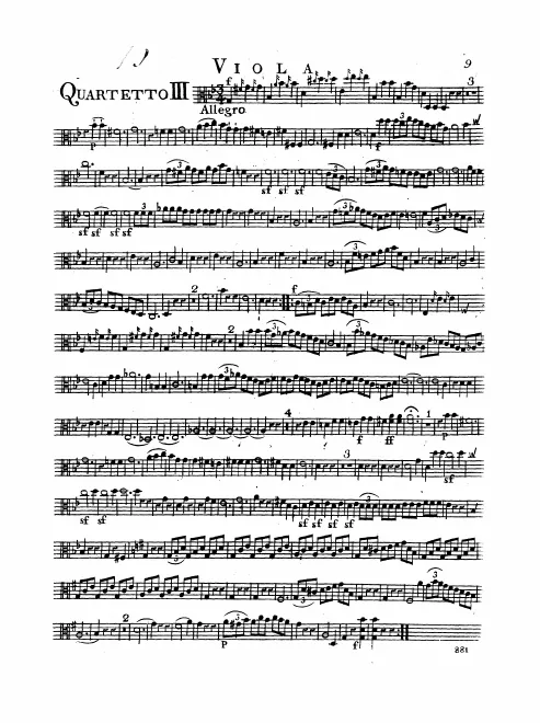 Viola