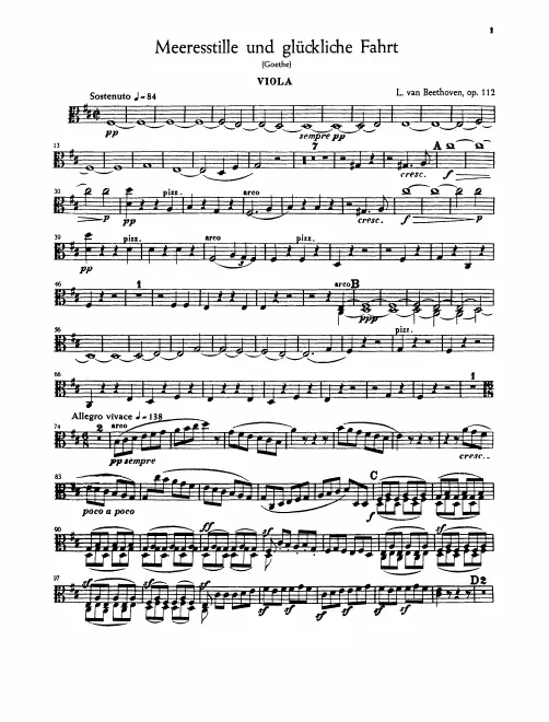Violas