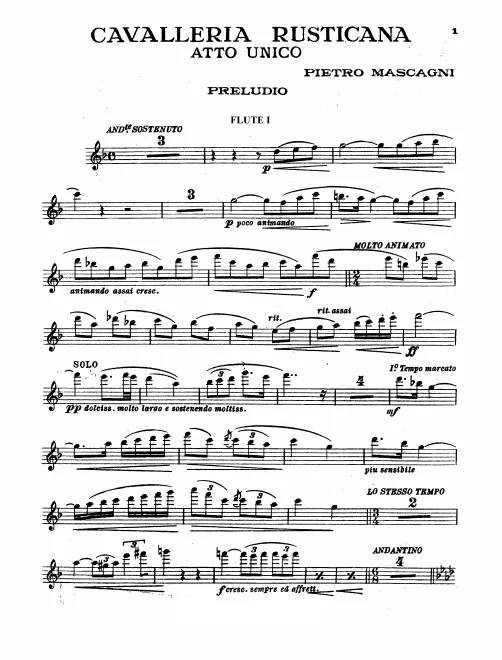 Flute 1