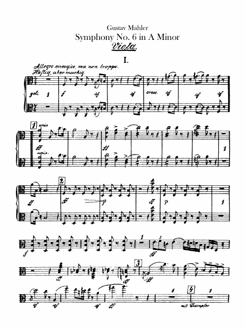 Violas