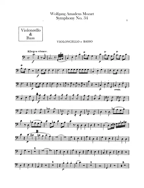 Cellos/Basses