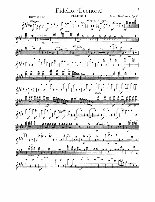 Flute 1