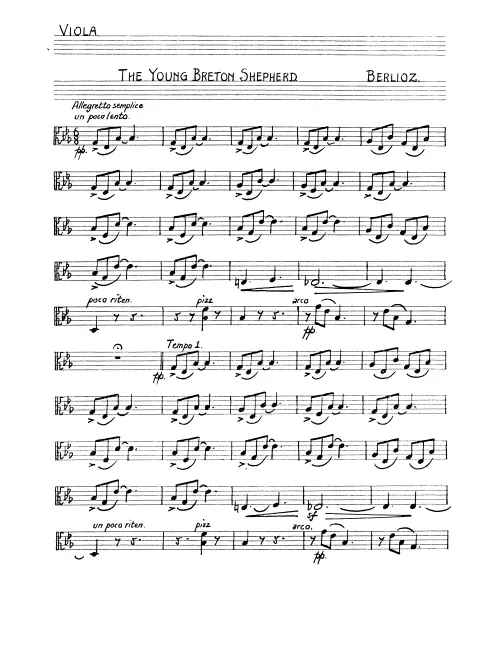 Violas