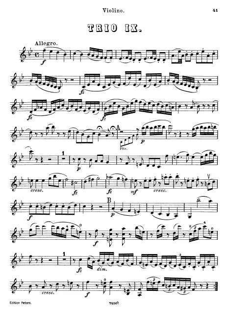 Violin