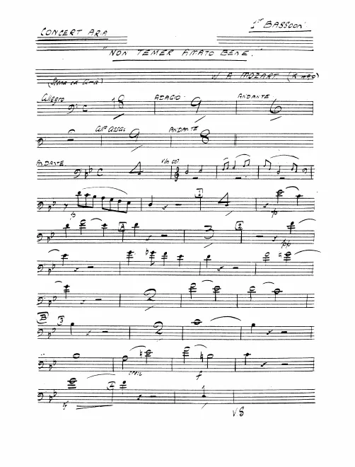 Bassoon 1