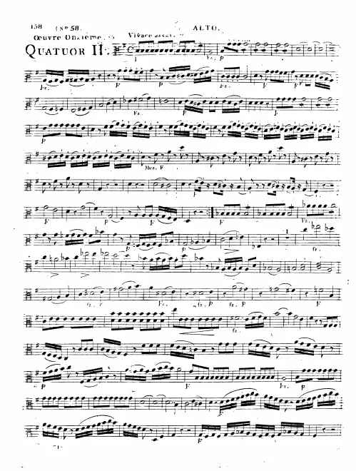 Viola