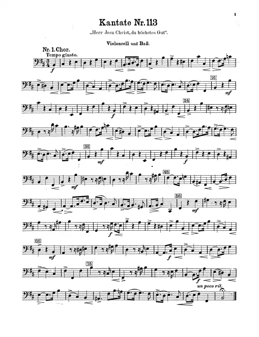 Cellos/Basses