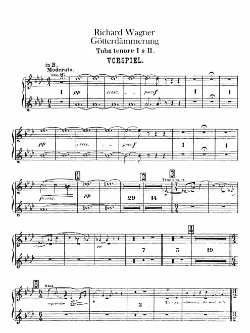 Tenor Wagner Tuba 1/2 (B/E)