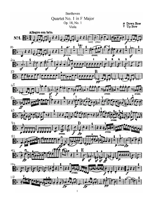 Viola