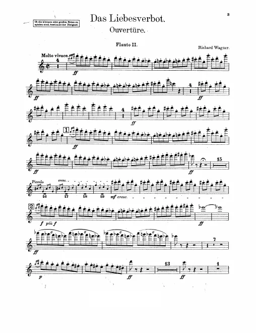 Flute 2