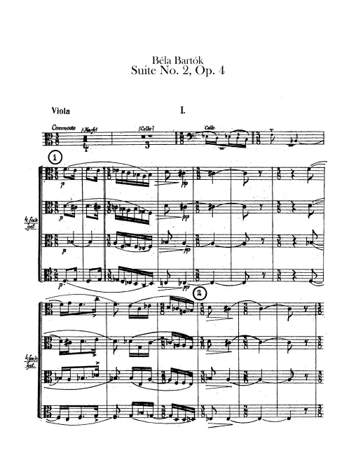Violas
