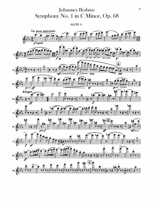 Flute 1