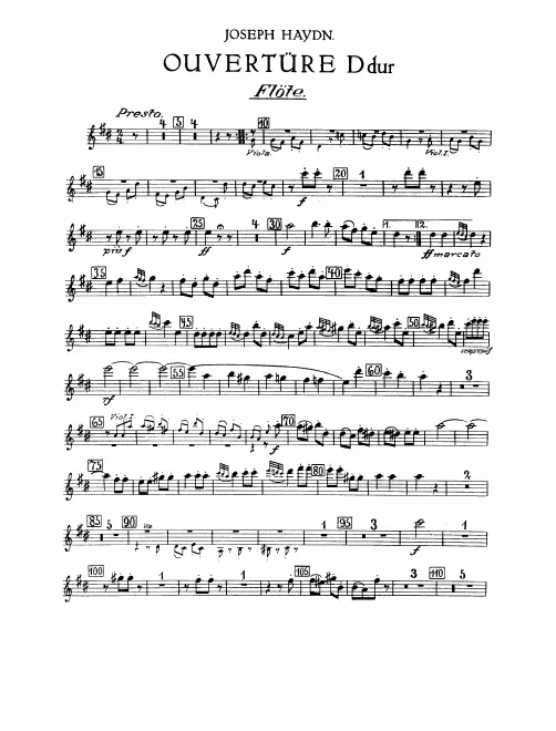 Flute