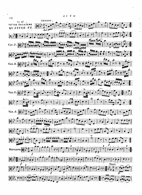 Viola