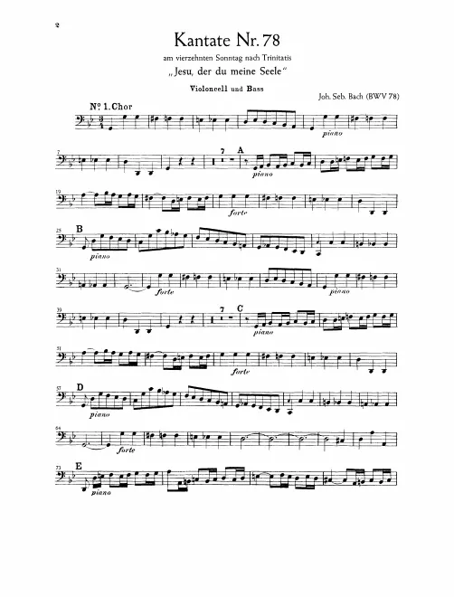 Cellos/Basses