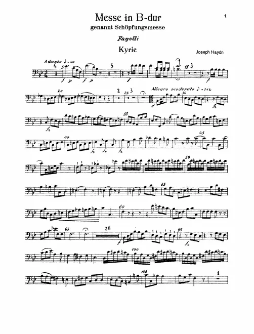 Bassoon 1/2