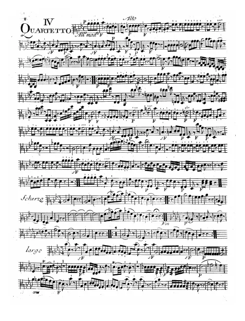 Viola