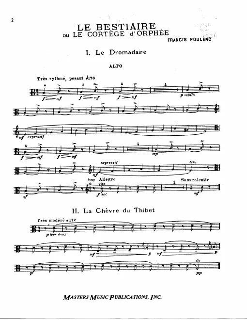 Viola