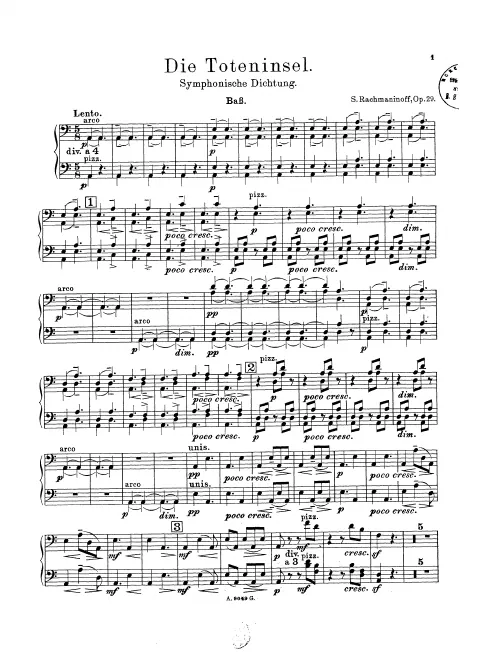 Basses