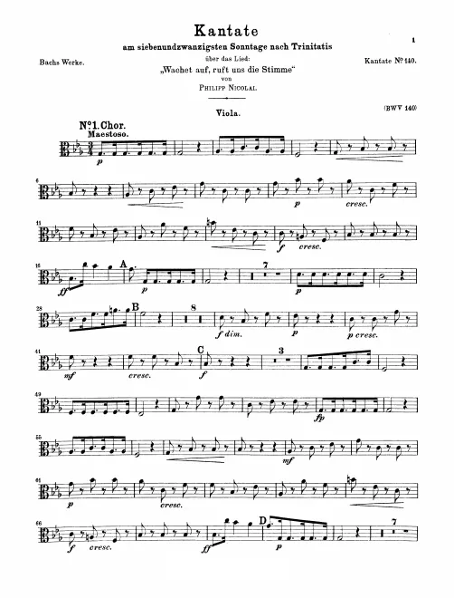 Violas
