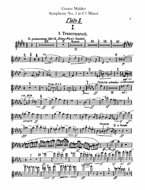 Flute 2