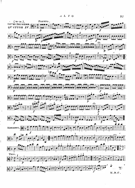 Viola