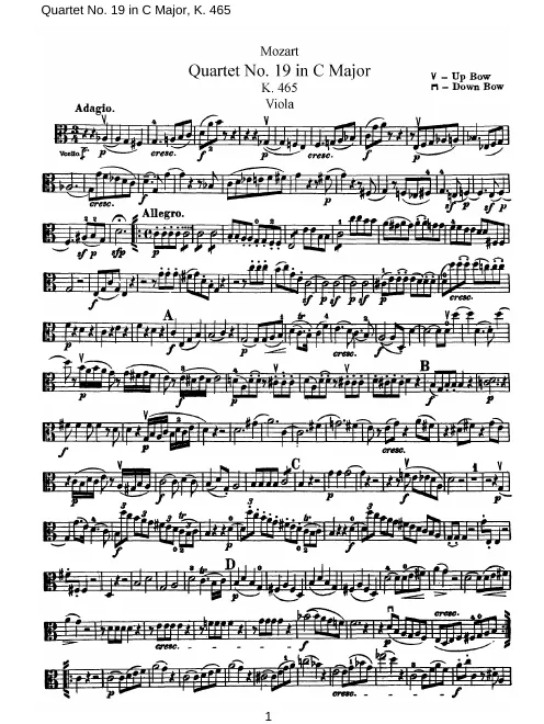 Viola