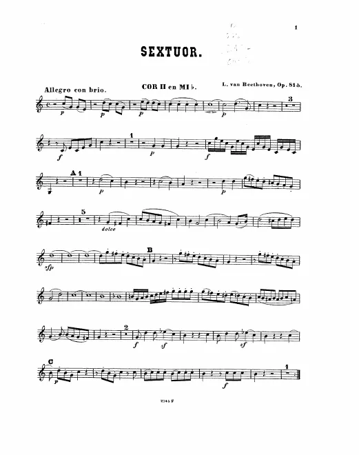 Horn 2 (E)