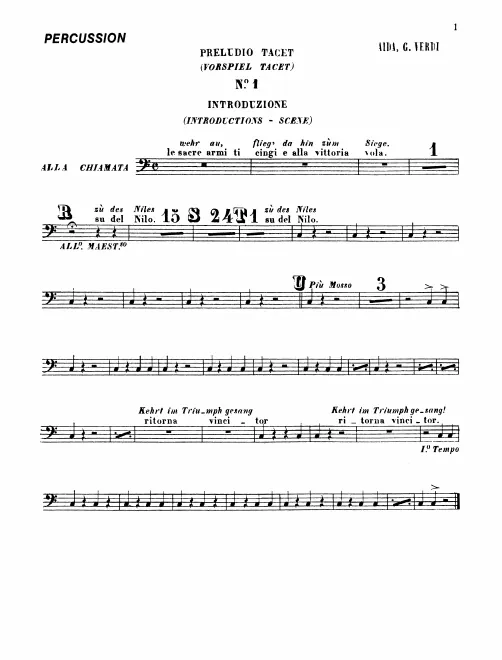 Bass Drum/Cymbals/Triangle/Tam-Tam