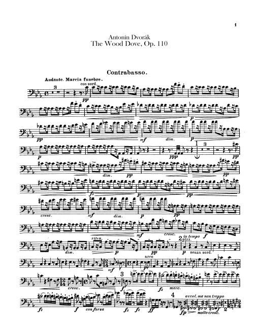 Basses