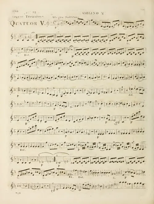 Violin 2