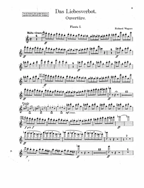Flute 1