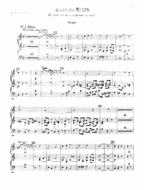 Organ