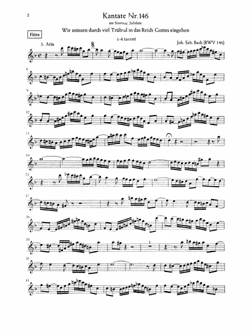 Flute