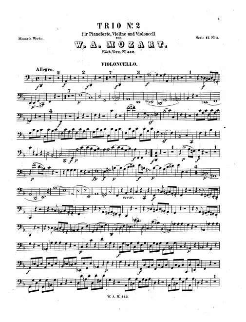 Cello