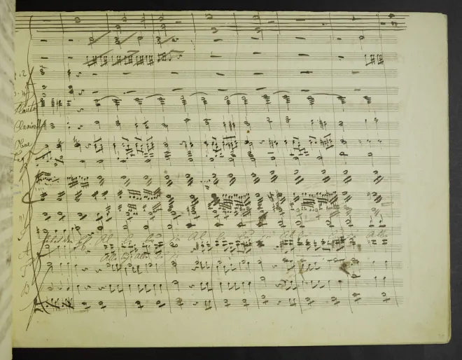Segment 4