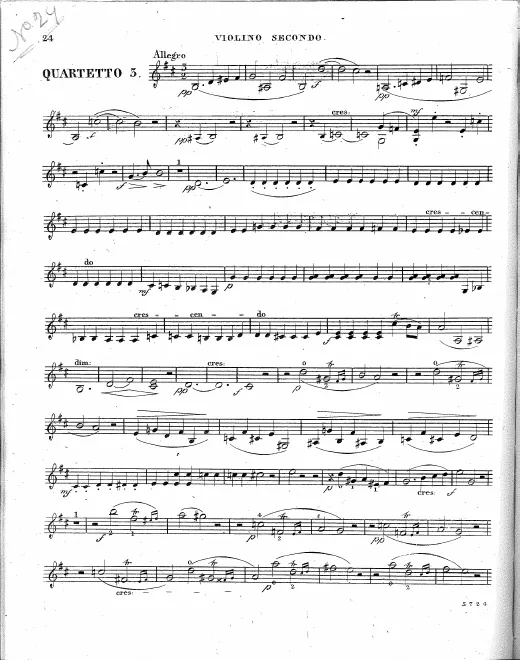Violin 2