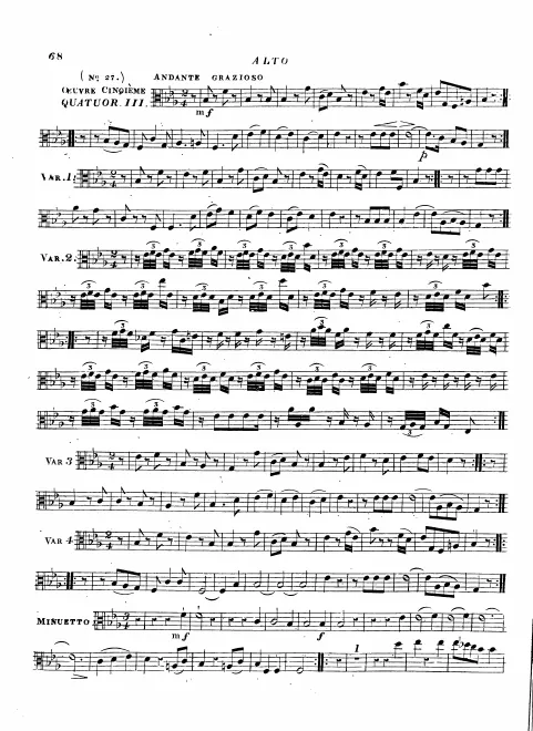 Viola