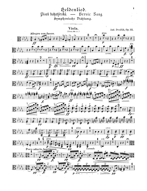 Violas