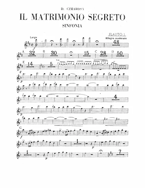 Flute 1