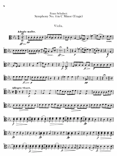 Viola