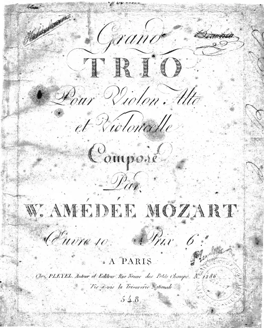 Violin