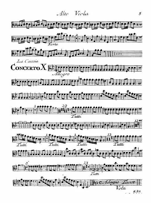Violas