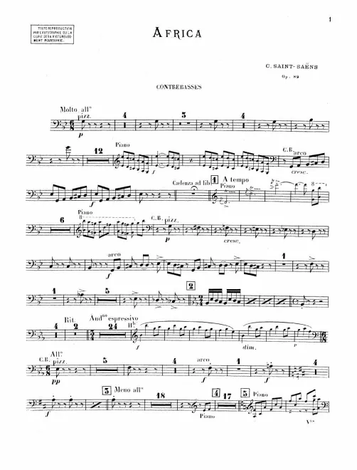 Basses
