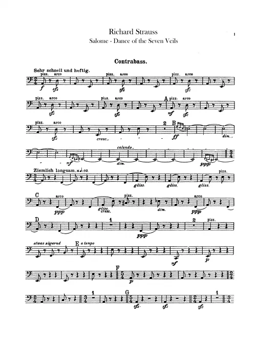 Basses
