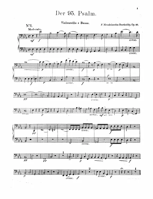 Cellos / Basses